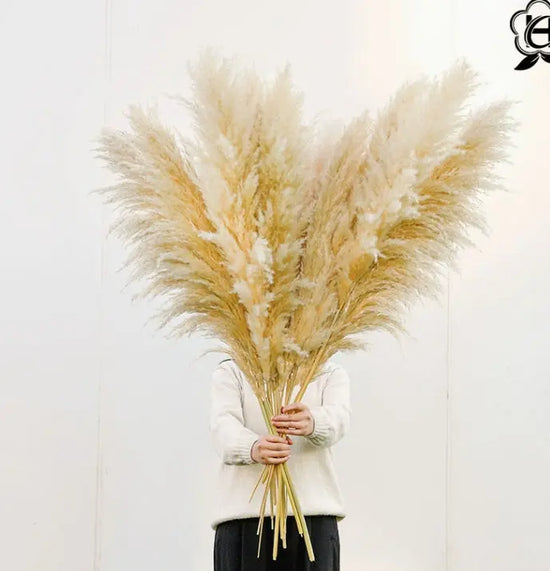 Pampas Bouquet Of Small Dried Reed Flowers Liebe - Making Life Easier