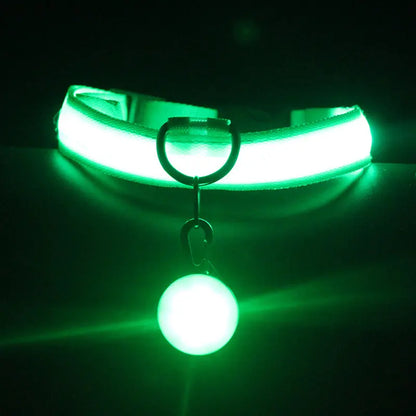 Light-up dog collars and pet accessories