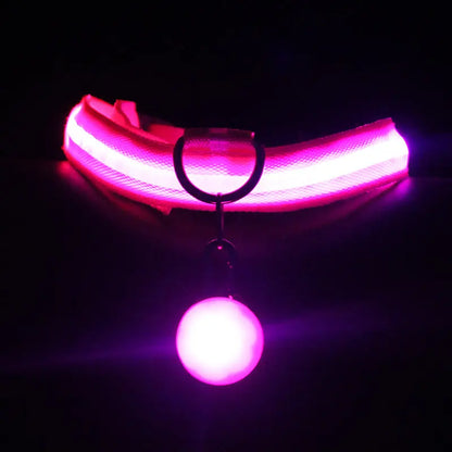 Light-up dog collars and pet accessories