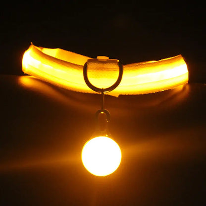 Light-up dog collars and pet accessories