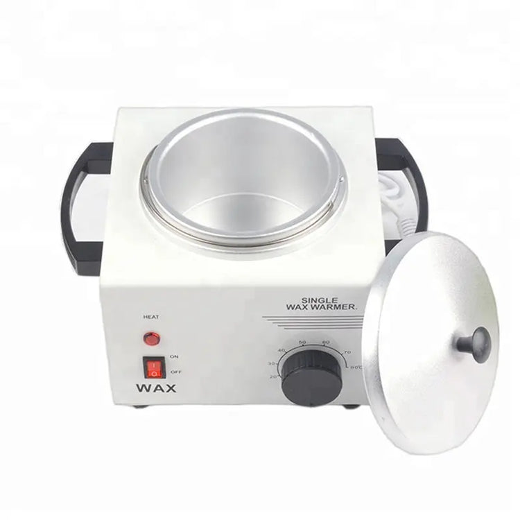Single Furnace Wax Melter Machine - HASHTAG