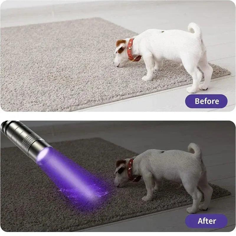 UV Flashlight 395nm Ultraviolet Torch With Pen Clip Portable AAA Batteries Used Violet Light Pet Urine Scorpion Detector UV Lamp HASHTAG