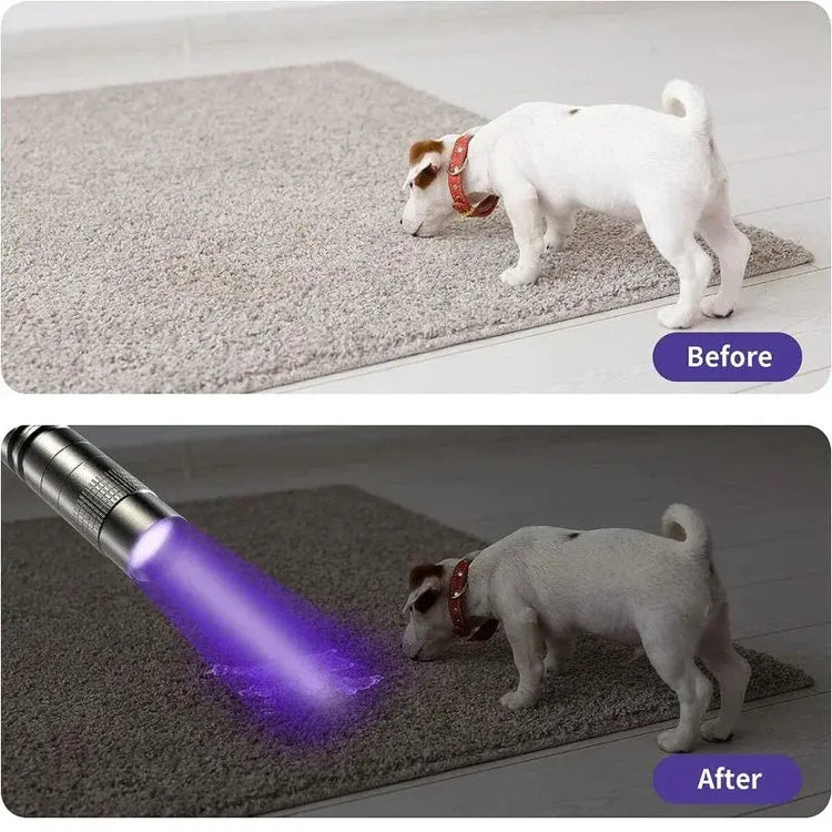 UV Flashlight 395nm Ultraviolet Torch With Pen Clip Portable AAA Batteries Used Violet Light Pet Urine Scorpion Detector UV Lamp HASHTAG