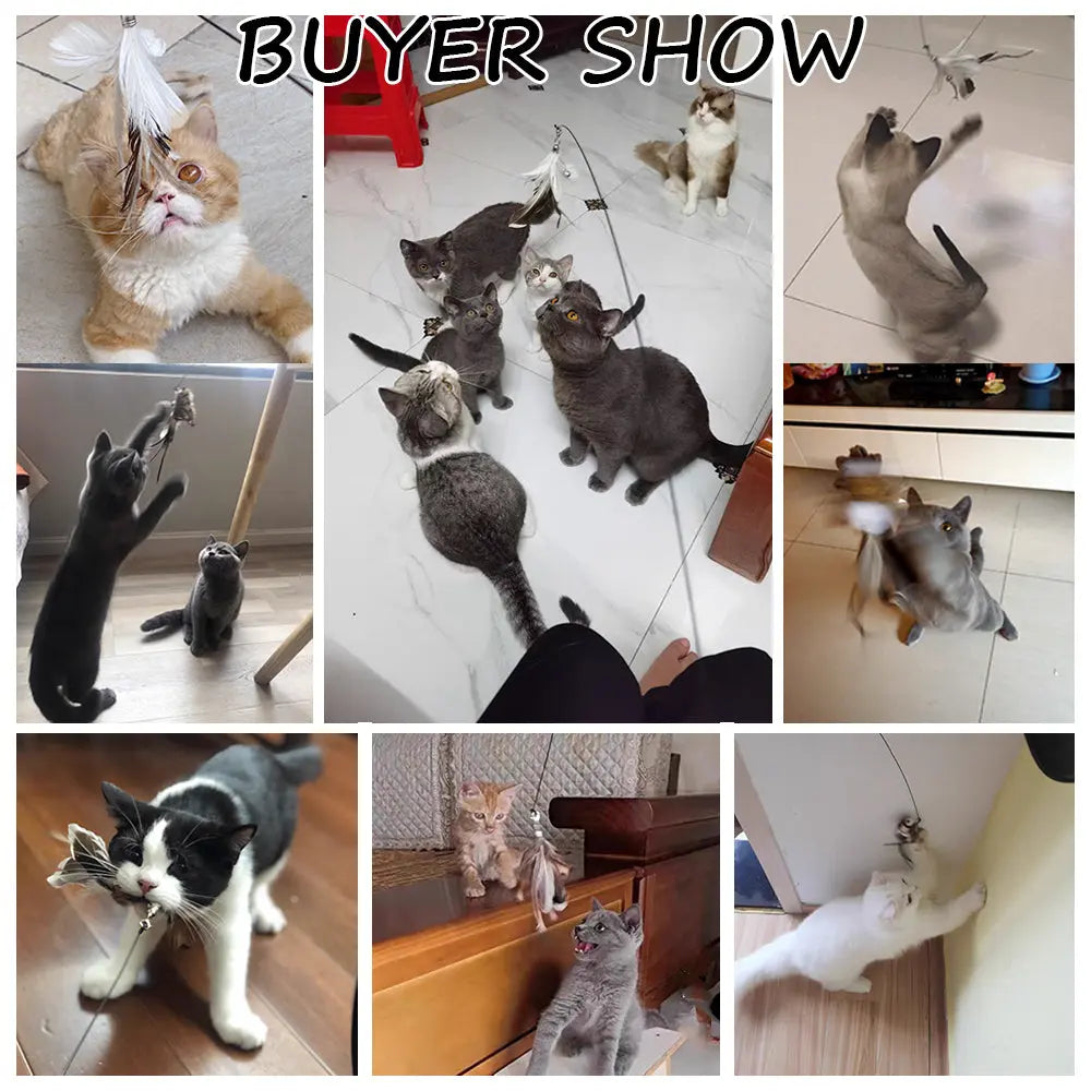 Detachable Wire Rod Sucker Cat Stick AliExpress