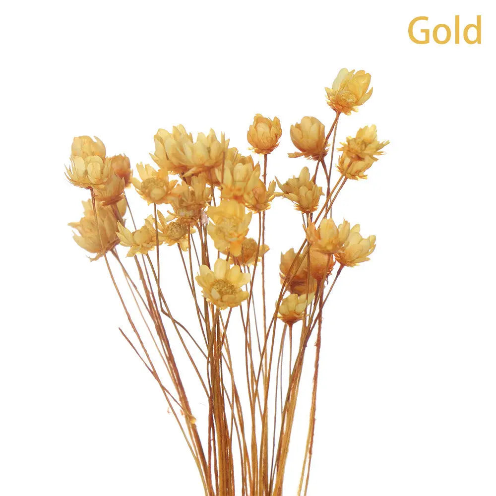 Artificial Flowers Spring Decoration Bright Color Dried Liebe - Making Life Easier