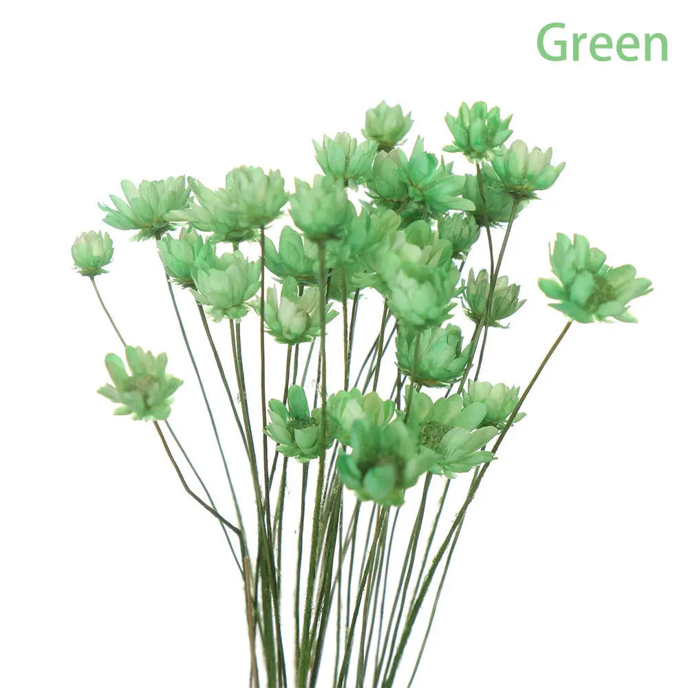 Artificial Flowers Spring Decoration Bright Color Dried Liebe - Making Life Easier