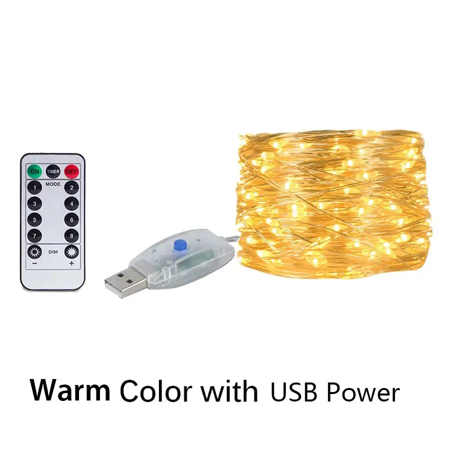 Silver Wire LED Fairy String Lights USB/Battery Box Remote Birthday Garland Christmas Lamps For Wedding Party Decor 5M 10M 20M - HASHTAG