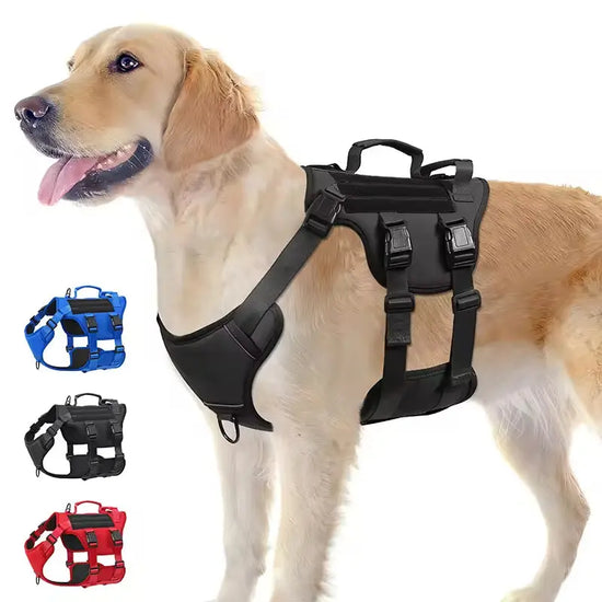 Pettorina tattica per cani di servizio in nylon resistente al calore e durevole