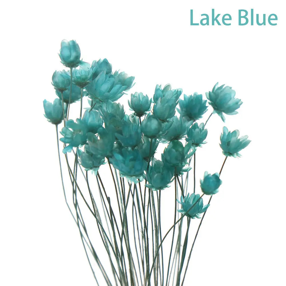 Artificial Flowers Spring Decoration Bright Color Dried Liebe - Making Life Easier