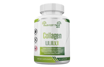 Collagen I,II,III,V,X-0