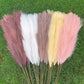 Artificial Pampas Grass Dried Reed Flowers 5pz 100cm Liebe - Making Life Easier