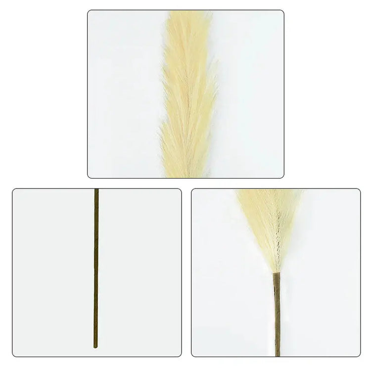 Artificial Pampas Grass Dried Reed Flowers 5pz 100cm Liebe - Making Life Easier