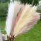 Artificial Pampas Grass Dried Reed Flowers 5pz 100cm Liebe - Making Life Easier