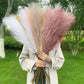 Artificial Pampas Grass Dried Reed Flowers 5pz 100cm Liebe - Making Life Easier