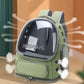 Borsa da trasporto per gatti per animali domestici Zaino da viaggio per esterni per gatti Cani di piccola taglia Borsa da trasporto per gatti traspirante Forniture per animali domestici Trasparente