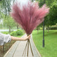 Artificial Pampas Grass Dried Reed Flowers 5pz 100cm Liebe - Making Life Easier