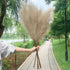 Artificial Pampas Grass Dried Reed Flowers 5pz 100cm Liebe - Making Life Easier