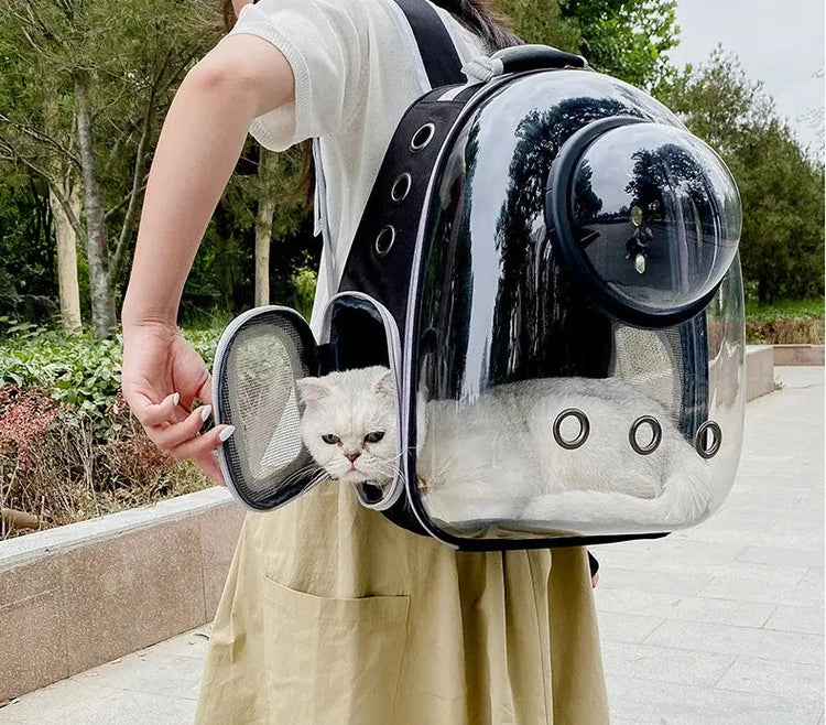 Borsa da trasporto per gatti per animali domestici Zaini spaziali per animali domestici Zaino trasparente portatile traspirante Borse per capsule spaziale per trasporto di cuccioli di cane - My Hashtag Shop