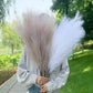 Artificial Pampas Grass Dried Reed Flowers 5pz 100cm Liebe - Making Life Easier