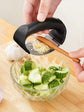 Stainless Steel Garlic Press Crusher. - HASHTAG