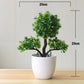 Small Tree Grass Flower Potted Bonsai Home Office Decor. Liebe - Making Life Easier