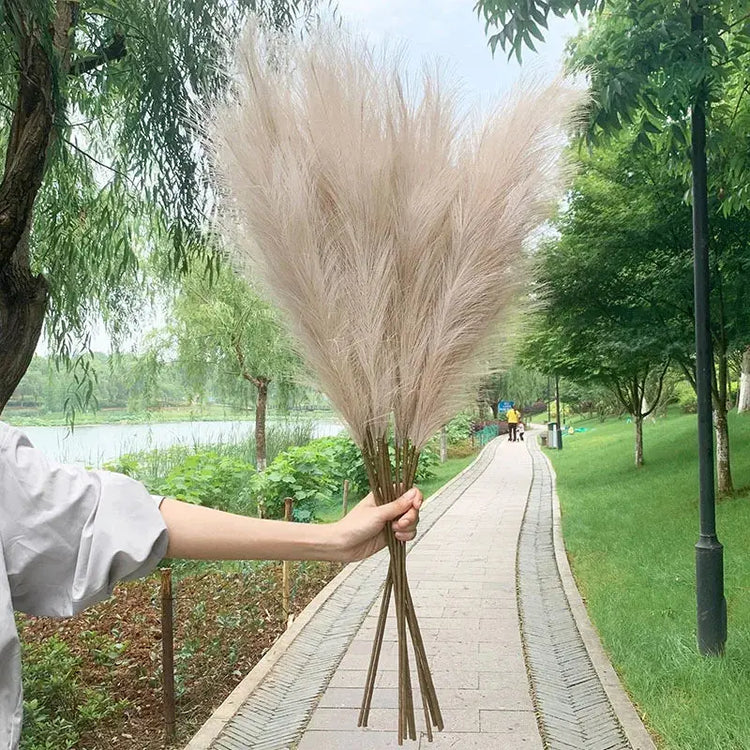 Artificial Pampas Grass Dried Reed Flowers 5pz 100cm Liebe - Making Life Easier
