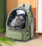 Borsa da trasporto per gatti per animali domestici Zaino da viaggio per esterni per gatti Cani di piccola taglia Borsa da trasporto per gatti traspirante Forniture per animali domestici Trasparente