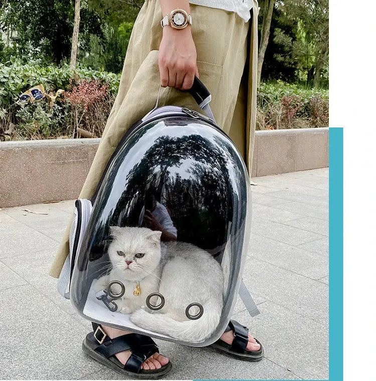 Borsa da trasporto per gatti per animali domestici Zaini spaziali per animali domestici Zaino trasparente portatile traspirante Borse per capsule spaziale per trasporto di cuccioli di cane - My Hashtag Shop