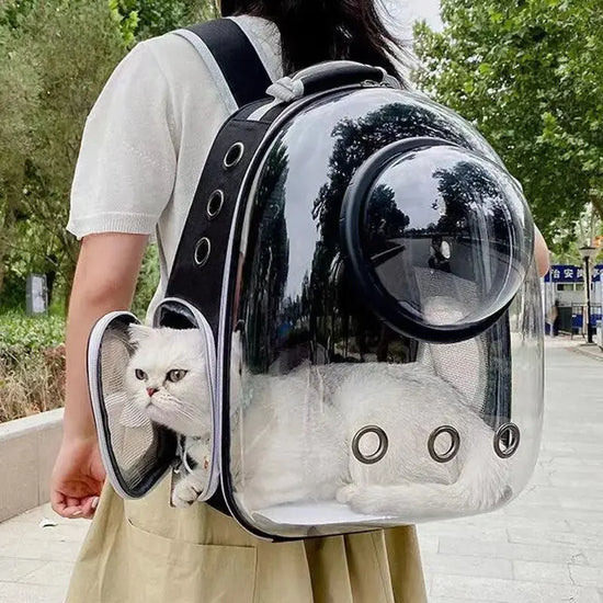 Borsa da trasporto per gatti per animali domestici Zaini spaziali per animali domestici Zaino trasparente portatile traspirante Borse per capsule spaziale per trasporto di cuccioli di cane - My Hashtag Shop