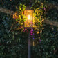 Luci solari a LED impermeabili per vialetto da giardino - Illuminazione automatica del percorso Illuminazione paesaggistica esterna Accensione/spegnimento automatico al tramonto