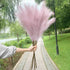 Artificial Pampas Grass Dried Reed Flowers 5pz 100cm Liebe - Making Life Easier