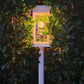 Luci solari a LED impermeabili per vialetto da giardino - Illuminazione automatica del percorso Illuminazione paesaggistica esterna Accensione/spegnimento automatico al tramonto