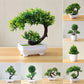 Small Tree Grass Flower Potted Bonsai Home Office Decor. Liebe - Making Life Easier