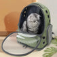 Borsa da trasporto per gatti per animali domestici Zaino da viaggio per esterni per gatti Cani di piccola taglia Borsa da trasporto per gatti traspirante Forniture per animali domestici Trasparente