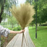 Artificial Pampas Grass Dried Reed Flowers 5pz 100cm Liebe - Making Life Easier
