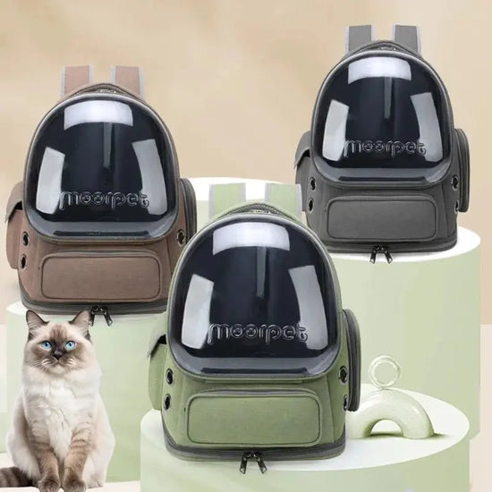 Borsa da trasporto per gatti per animali domestici Zaino da viaggio per esterni per gatti Cani di piccola taglia Borsa da trasporto per gatti traspirante Forniture per animali domestici Trasparente