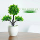 Small Tree Grass Flower Potted Bonsai Home Office Decor. Liebe - Making Life Easier