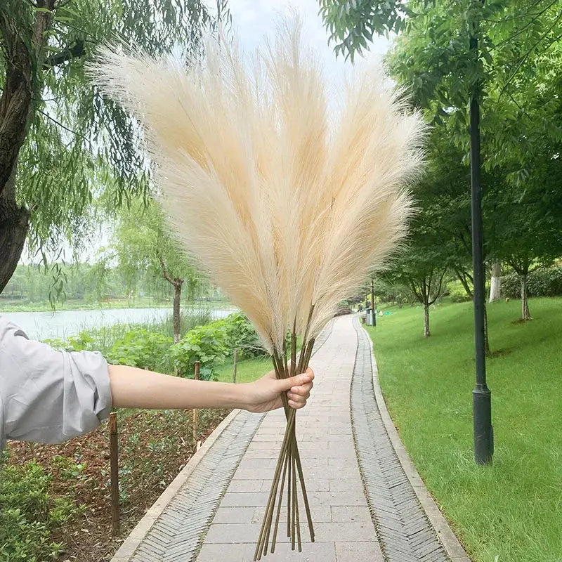 Artificial Pampas Grass Dried Reed Flowers 5pz 100cm Liebe - Making Life Easier