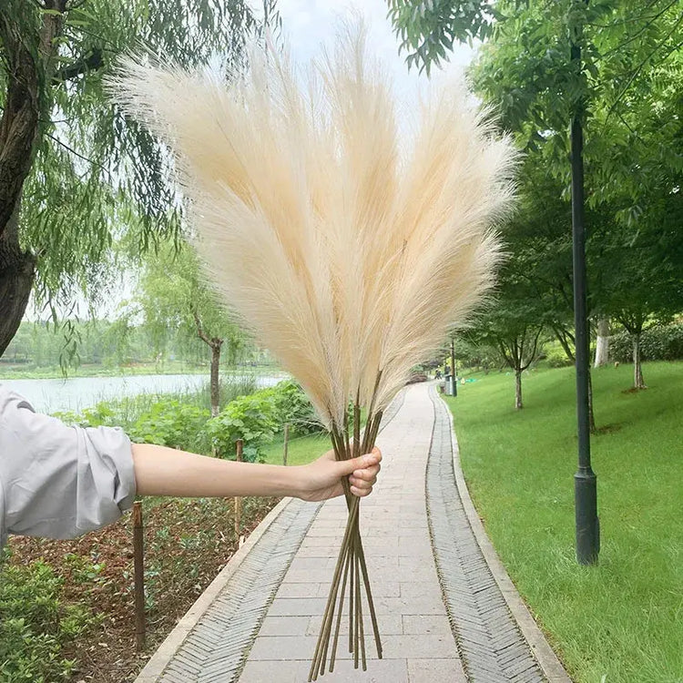 Artificial Pampas Grass Dried Reed Flowers 5pz 100cm Liebe - Making Life Easier