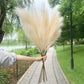 Artificial Pampas Grass Dried Reed Flowers 5pz 100cm Liebe - Making Life Easier