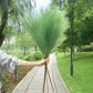 Artificial Pampas Grass Dried Reed Flowers 5pz 100cm Liebe - Making Life Easier