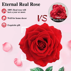Holiday Gifts for Women Eternal Red Rose with Heart Necklace Flower Lipstick Gift for Mom Girlfriend Birthday from Daughter Sons HASHTAG