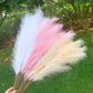 Artificial Pampas Grass Dried Reed Flowers 5pz 100cm Liebe - Making Life Easier