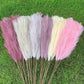 Artificial Pampas Grass Dried Reed Flowers 5pz 100cm Liebe - Making Life Easier