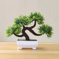 Small Tree Grass Flower Potted Bonsai Home Office Decor. Liebe - Making Life Easier