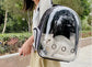 Borsa da trasporto per gatti per animali domestici Zaini spaziali per animali domestici Zaino trasparente portatile traspirante Borse per capsule spaziale per trasporto di cuccioli di cane - My Hashtag Shop