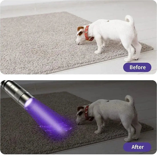 Torcia UV Torcia ultravioletta da 395 nm con clip per penna Batterie AAA portatili utilizzate Luce viola Rilevatore di urina per animali domestici Lampada UV - My Hashtag Shop