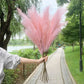 Artificial Pampas Grass Dried Reed Flowers 5pz 100cm Liebe - Making Life Easier