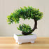 Small Tree Grass Flower Potted Bonsai Home Office Decor. Liebe - Making Life Easier