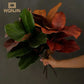 Simulation Magnolia Branch Silk Flower Home Decoration. Liebe - Making Life Easier